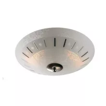 Настенно-потолочный светильник Leona 417341-474228 купить с доставкой по России