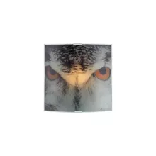 Настенный светильник Owl 105242 купить с доставкой по России