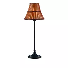 Интерьерная настольная лампа Rana 102676 купить с доставкой по России