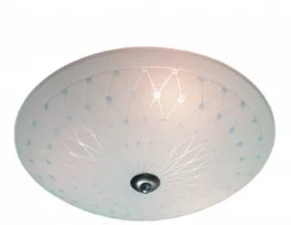 Настенно-потолочный светильник Blues 175512-495512 купить с доставкой по России