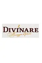 divinare.webp